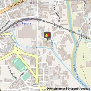 Agrumi Prato,51017Prato