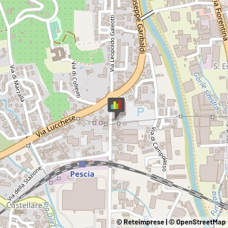 Assicurazioni,51017Pistoia