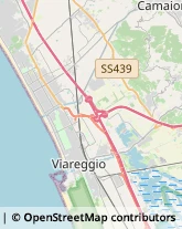 Ingegneri Viareggio,55049Lucca