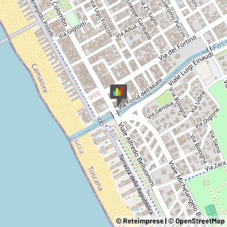 Società di Telecomunicazioni Camaiore,55041Lucca