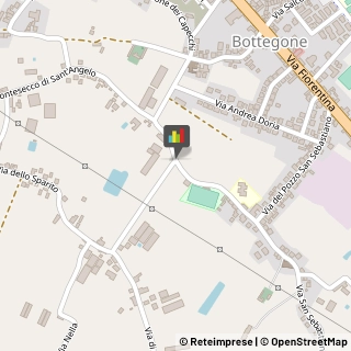 Vivai Piante e Fiori,51100Pistoia