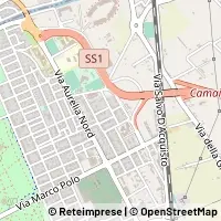 Map Viareggio