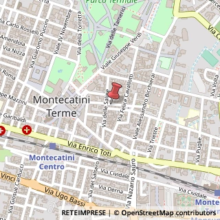 Mappa Via Palestro, 14, 51016 Montecatini Terme, Pistoia (Toscana)