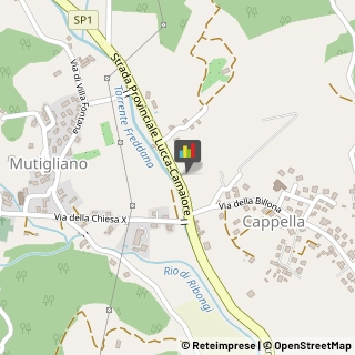 Farmacie,55100Lucca