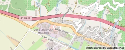 Mappa Massarosa