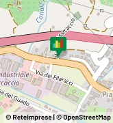 V. Sarzanese Nord, 2762,55054Massarosa