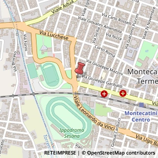 Mappa Viale dei Martiri, 17, 51016 Montecatini Terme, Pistoia (Toscana)
