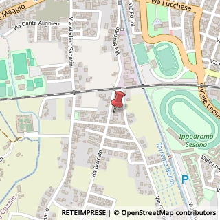 Mappa Via Bruceto, 43 A, 51010 Massa e Cozzile, Pistoia (Toscana)
