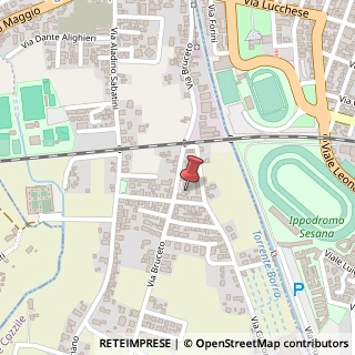 Mappa Via Bruceto, 43E, 51010 Massa e Cozzile, Pistoia (Toscana)