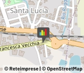Frutta e Verdura - Dettaglio,51010Pistoia