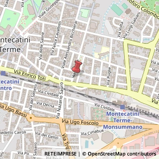 Mappa Via Trieste, 10A, 51016 Montecatini Terme, Pistoia (Toscana)