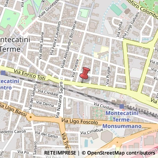 Mappa Via Giosuè Borsi, 22, 51016 Montecatini Terme, Pistoia (Toscana)