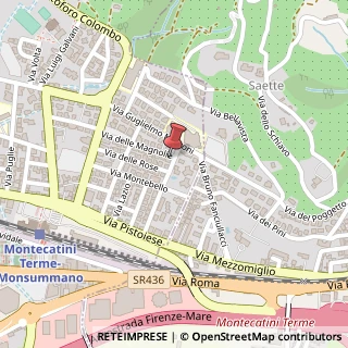 Mappa Via delle Magnolie, 46, 51016 Montecatini Terme, Pistoia (Toscana)