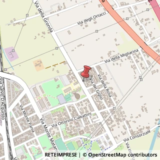 Mappa Via della Gronda, 306, 55049 Viareggio, Lucca (Toscana)
