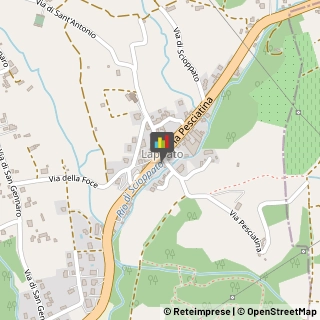 Farmacie,55010Lucca