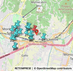 Mappa Via dei Pini, 51018 Pieve A Nievole PT, Italia (0.941)