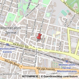 Mappa Viale Bicchierai, 22/24, 51016 Montecatini Terme, Pistoia (Toscana)