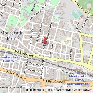 Mappa Viale Alessandro Bicchierai, 53, 51016 Montecatini Terme, Pistoia (Toscana)