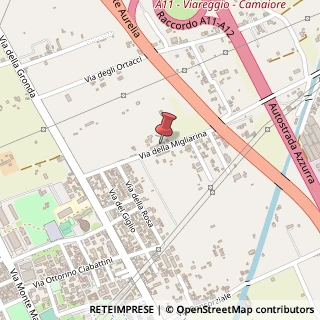 Mappa Via della Migliarina, 23, 55049 Viareggio, Lucca (Toscana)