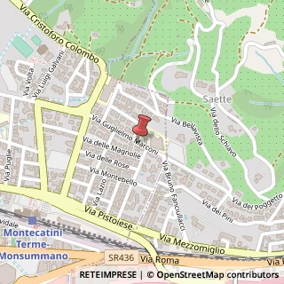 Mappa Viale Guglielmo Marconi, 102, 51016 Montecatini Terme, Pistoia (Toscana)