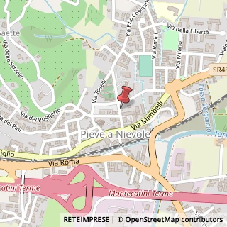 Mappa Via Ezio Cosimini, 8, 51018 Pieve a Nievole, Pistoia (Toscana)