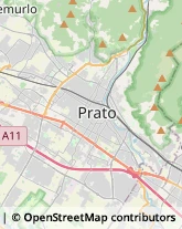 Aziende Agricole Prato,59100Prato