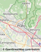 Aziende Agricole Prato,59100Prato