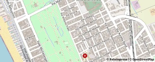 Mappa Viareggio