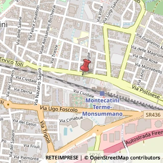 Mappa Corso Giacomo Matteotti, 204, 51016 Montecatini Terme, Pistoia (Toscana)
