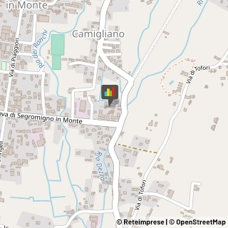Calzature - Dettaglio,55012Lucca