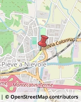 Viale Giovanni Mimbelli, 31,51018Pieve a Nievole