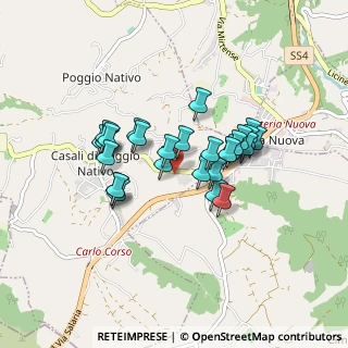 Mappa Via Farense, 02030 Poggio Nativo RI, Italia (0.725)