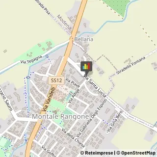 Fisiokinesiterapia - Medici Specialisti,41051Modena