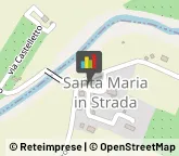 Autotrasporti,40011Bologna