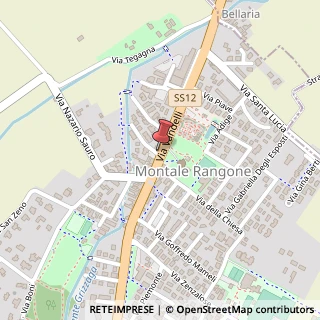 Mappa Via Vandelli, 18, 41050 Castelnuovo Rangone, Modena (Emilia Romagna)