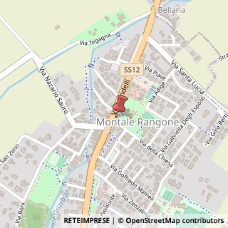 Mappa Via della Chiesa, 1, 41051 Castelnuovo Rangone, Modena (Emilia Romagna)