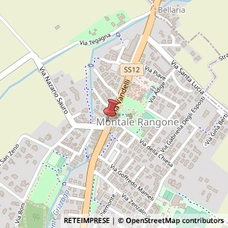 Mappa Via Vandelli, 28, 41051 Castelnuovo Rangone, Modena (Emilia Romagna)