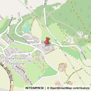 Mappa Via Gänsbichl, 2, 39031 Brunico, Bolzano (Trentino-Alto Adige)