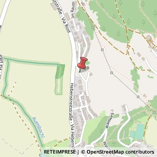 Mappa Via rost 75, 39031 Brunico, Bolzano (Trentino-Alto Adige)