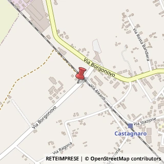 Mappa Via borgonovo 144, 37043 Castagnaro, Verona (Veneto)