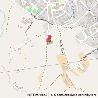 Mappa Strada Comunale dei Pasturanti, 29, 10040 Druento, Torino (Piemonte)