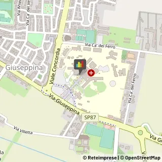 Gerontologia e Geriatria - Medici specialisti,26100Cremona