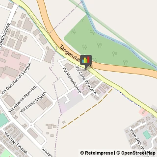 Fisiokinesiterapia - Medici Specialisti,46030Mantova