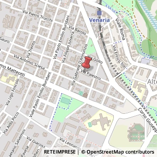 Mappa Via Palestro, 22, 10078 Venaria Reale, Torino (Piemonte)