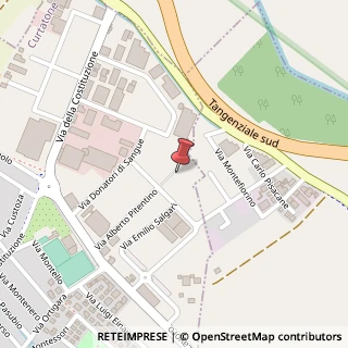 Mappa Via A. Pitentino, 38, 46010 Mantova, Mantova (Lombardia)