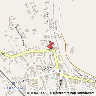 Mappa Via Borgonovo, 47, 37043 Castagnaro, Verona (Veneto)
