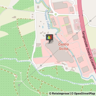 Capsule,95045Catania