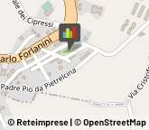 Imprese Edili,93017Caltanissetta