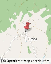 Via Bosco, 306,36012Asiago