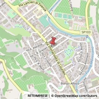 Mappa Via Immacolata di Lourdes, 60B, 31015 Conegliano, Treviso (Veneto)